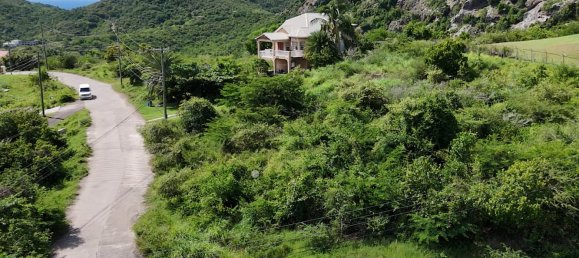 1295m² Land in Saint Paul, Antigua and Barbuda No. 58 14