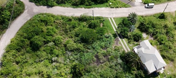 1295m² Land in Saint Paul, Antigua and Barbuda No. 58 7