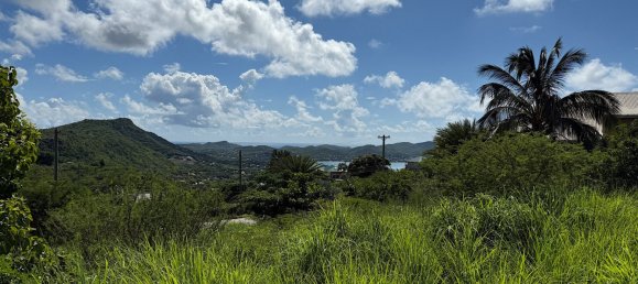 1295m² Land in Saint Paul, Antigua and Barbuda No. 58 3