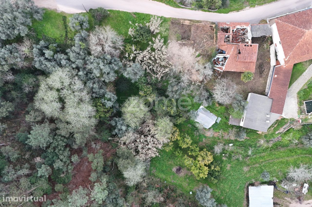 3 Schlafzimmer Haus in Miranda do Corvo, Portugal, Nr. 85709