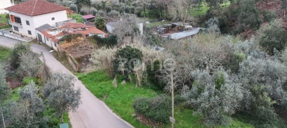 3 Schlafzimmer Haus in Miranda do Corvo, Portugal, Nr. 85709 6