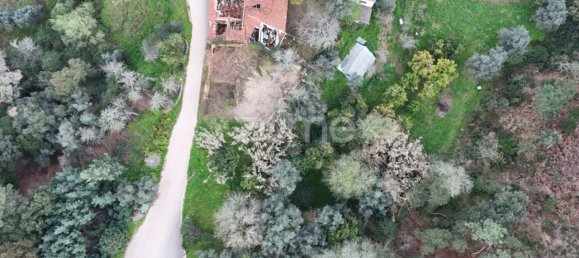 3 Schlafzimmer Haus in Miranda do Corvo, Portugal, Nr. 85709 14