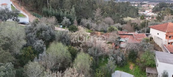 3 Schlafzimmer Haus in Miranda do Corvo, Portugal, Nr. 85709 11