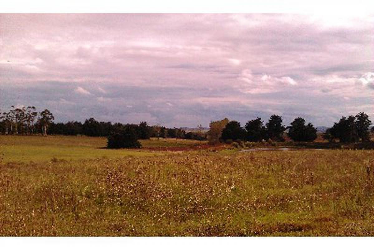  Farm in Maldonado, Uruguay No. 13989