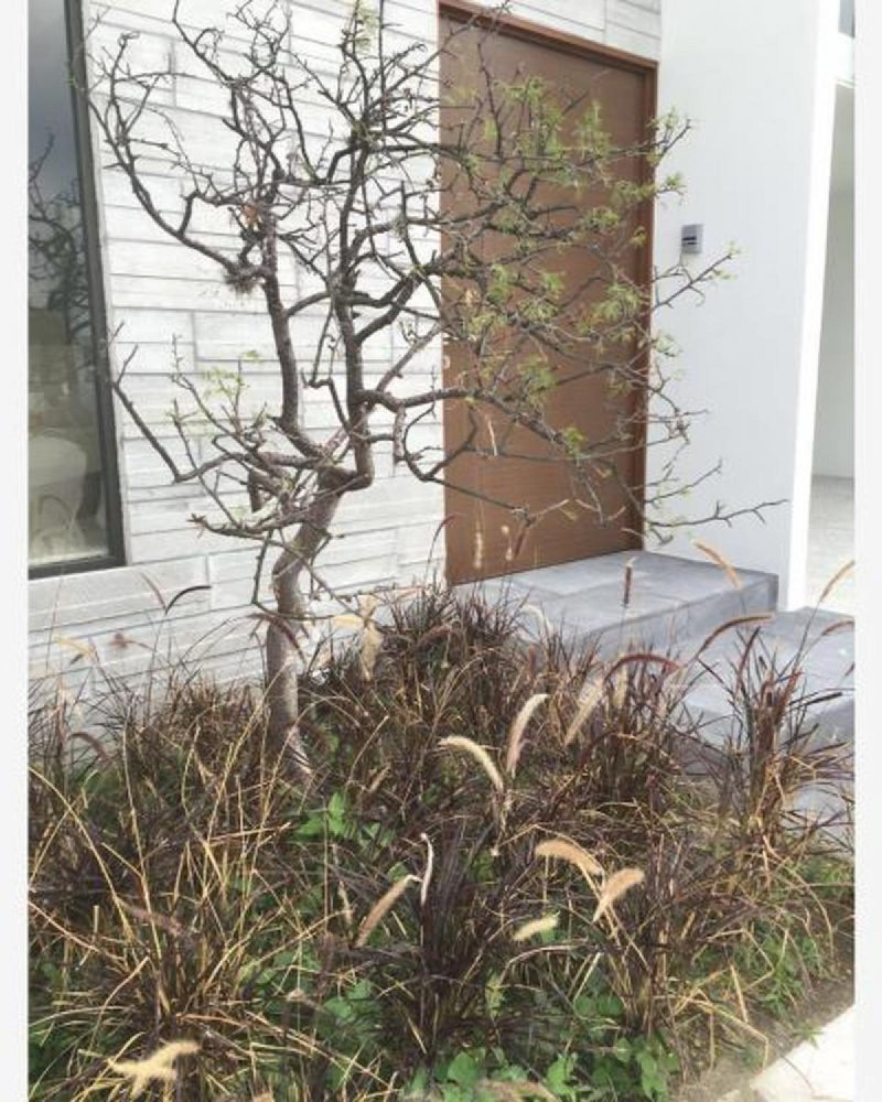 3 chambres Maison à Puebla, Mexico No. 165066