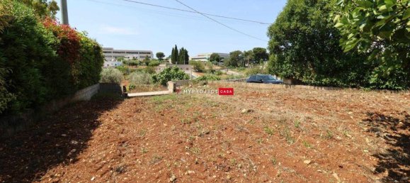 Terreno en Martina Franca, Italy 5500 m² No. 28563 7