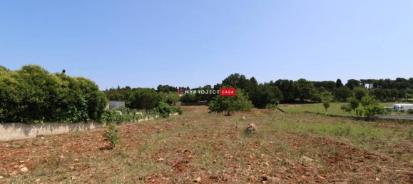 Terreno en Martina Franca, Italy 5500 m² No. 28563 5