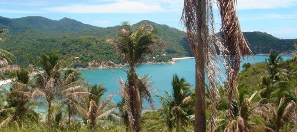 Propiedad comercial en Koh Pha Ngan, Thailand 8000 m² No. 6633 2