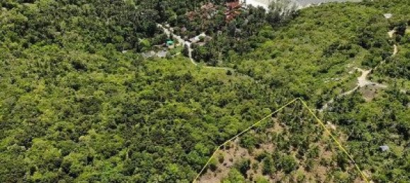 Propiedad comercial en Koh Pha Ngan, Thailand 8000 m² No. 6633 5