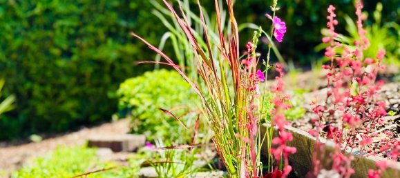 Таунхаус с 4 комнатами в Барним, Германия № 359845 7