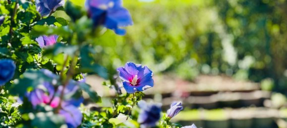 Таунхаус с 4 комнатами в Барним, Германия № 359845 2