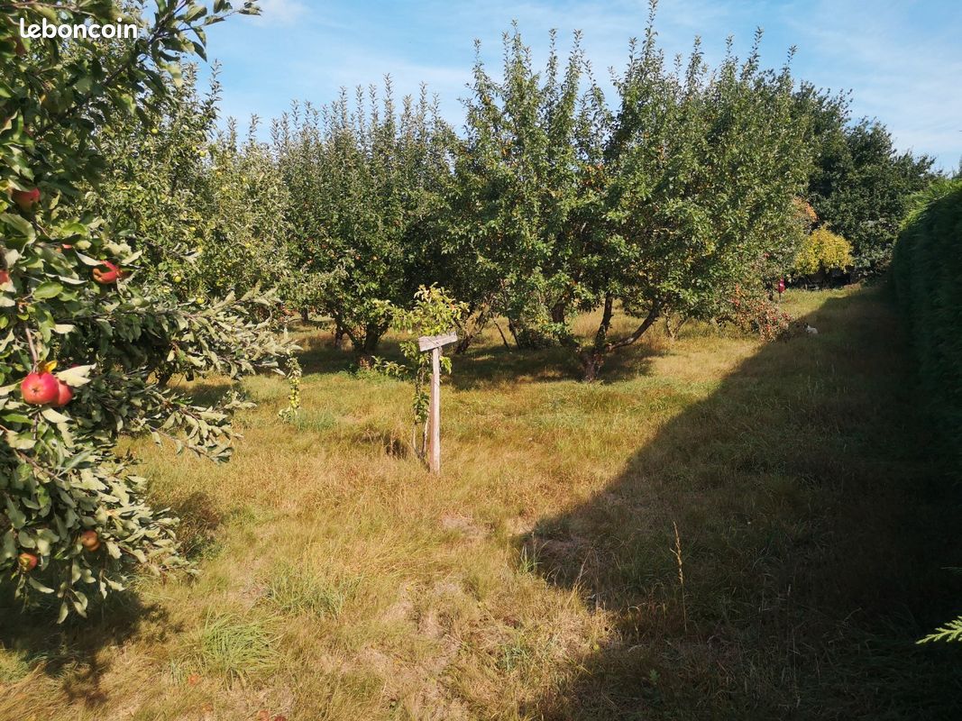 Terrain à Calvados, France No. 318208