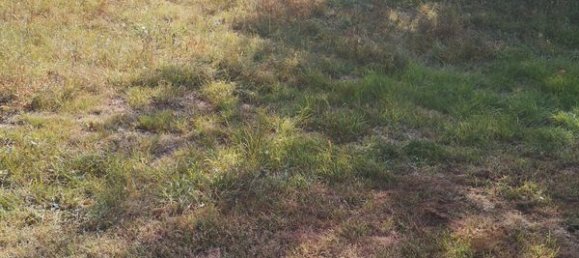 Terrain à Calvados, France No. 318208 3