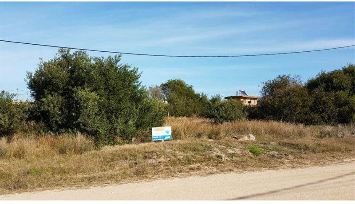 Terrain à Maldonado, Uruguay No. 14294