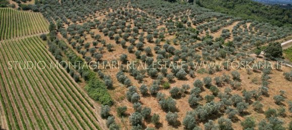 45 غرف نوم منزل في San Casciano in Val di Pesa, Italy رقم 118859 17