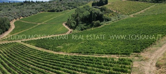 45 غرف نوم منزل في San Casciano in Val di Pesa, Italy رقم 118859 20