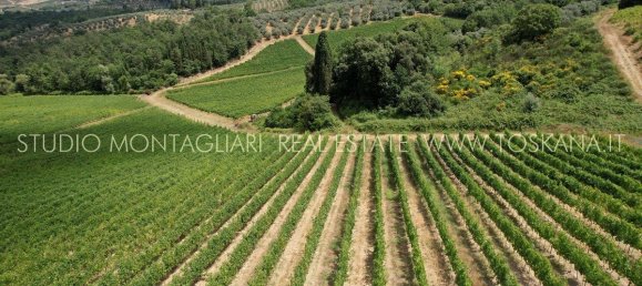45 غرف نوم منزل في San Casciano in Val di Pesa, Italy رقم 118859 18