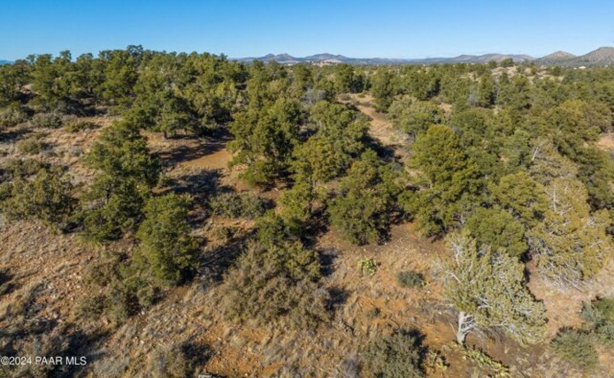 Grundstück in Prescott, USA, Nr. 479415