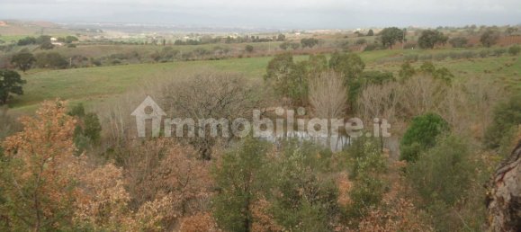 210m² Land in Magliano in Toscana, Italy No. 79599 13
