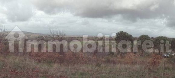 210m² Land in Magliano in Toscana, Italy No. 79599 12