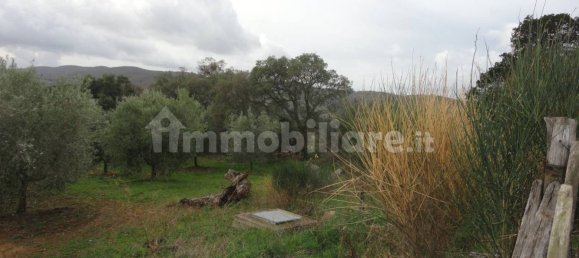 210m² Land in Magliano in Toscana, Italy No. 79599 4
