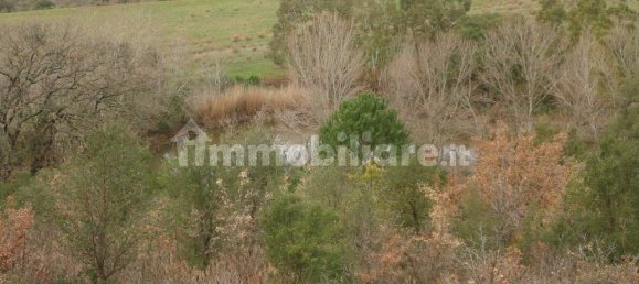 210m² Land in Magliano in Toscana, Italy No. 79599 17