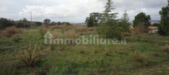 210m² Land in Magliano in Toscana, Italy No. 79599 14