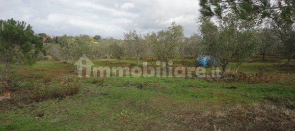 210m² Land in Magliano in Toscana, Italy No. 79599 15
