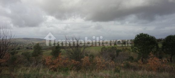 210m² Land in Magliano in Toscana, Italy No. 79599 11