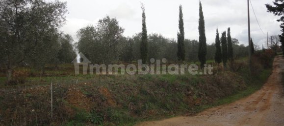 210m² Land in Magliano in Toscana, Italy No. 79599 20