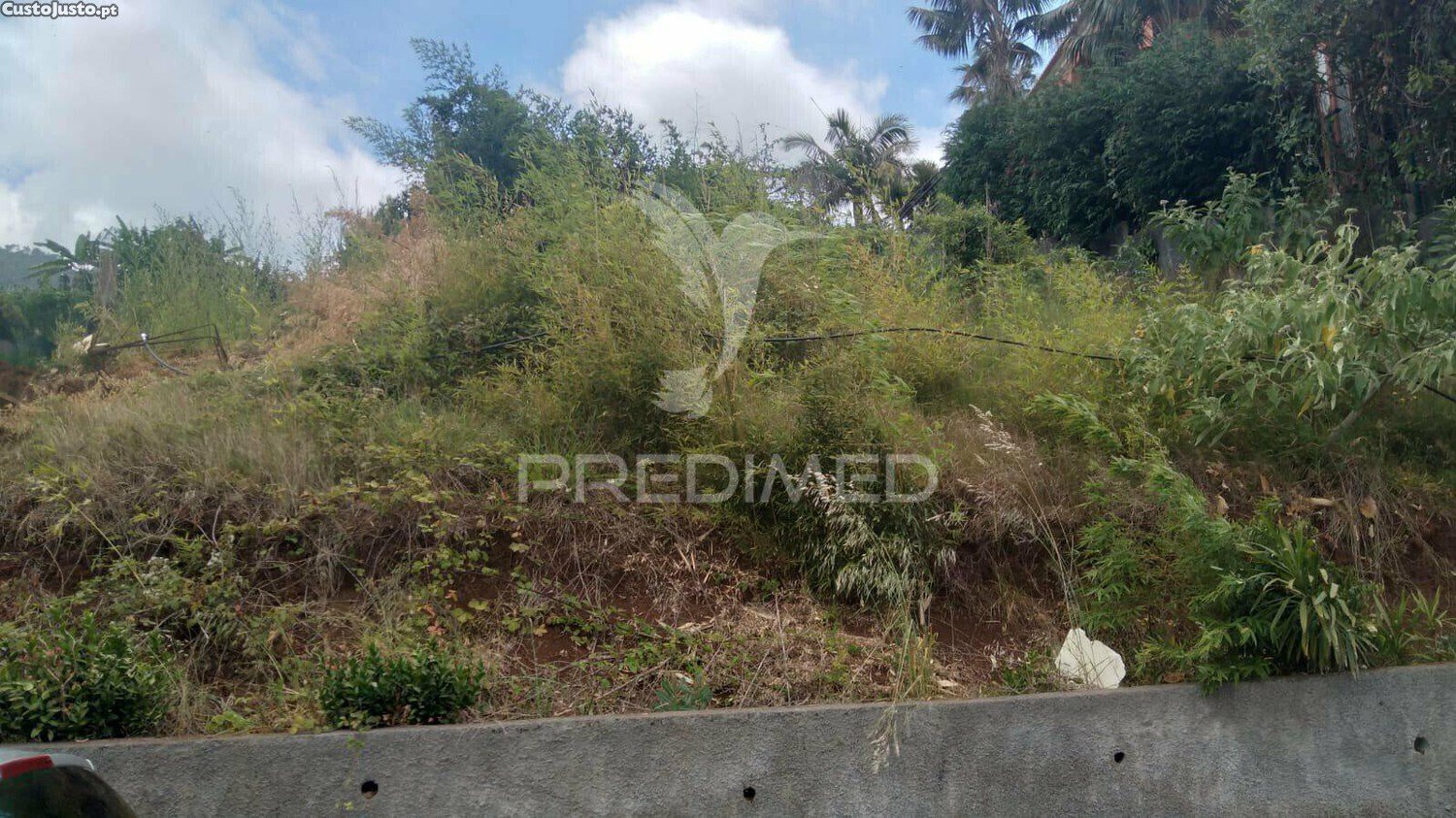 Terreno en Porto da Cruz, Portugal 300 m² No. 89529