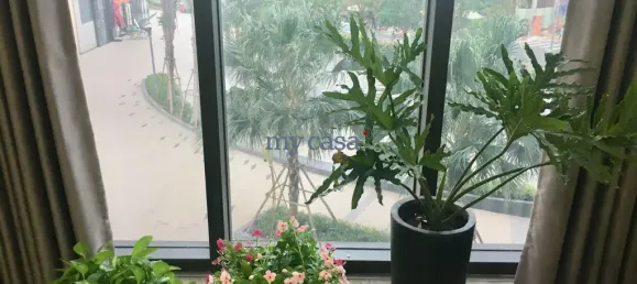 1 bedroom Apartment in Thu Duc, Vietnam No. 8205 10