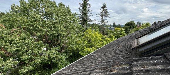 4 غرف نوم قطعة أرض في Konstanz, Germany رقم 218453 18