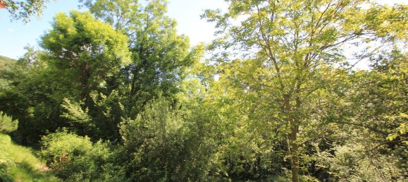 7 rooms House in Netro, Italy No. 153471 34