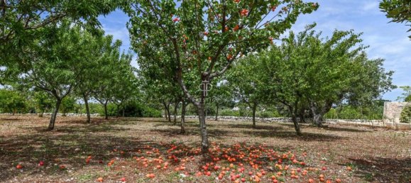 Casa T9 em Cisternino, Italy N.º 67917 29