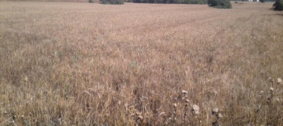 15000m² Hotel in Pylaia, Greece No. 5668 4