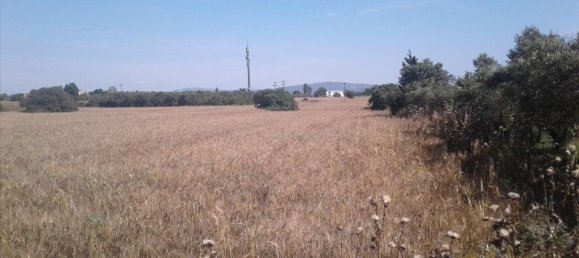 15000m² Hotel in Pylaia, Greece No. 5668 3