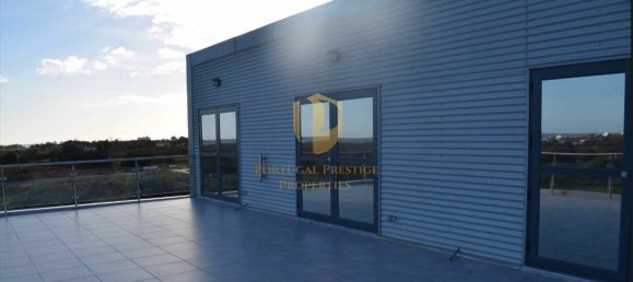  مستودع في Quelfes, Portugal 4796متر مربع رقم 245141 43