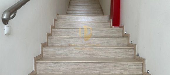  مستودع في Quelfes, Portugal 4796متر مربع رقم 245141 24