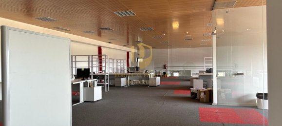  مستودع في Quelfes, Portugal 4796متر مربع رقم 245141 4