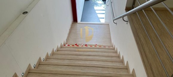  مستودع في Quelfes, Portugal 4796متر مربع رقم 245141 50