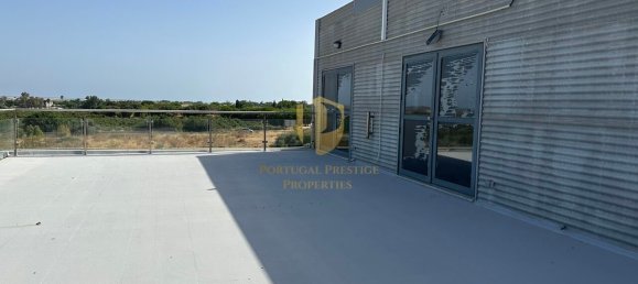  مستودع في Quelfes, Portugal 4796متر مربع رقم 245141 35