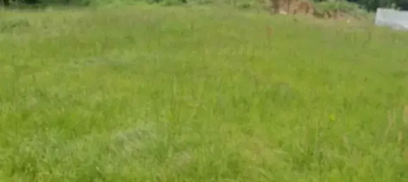 قطعة أرض في Hengsberg, Austria رقم 136872 4