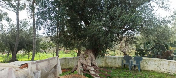 3-Zimmer Wohnung in Carovigno, Italy, Nr. 113843 15