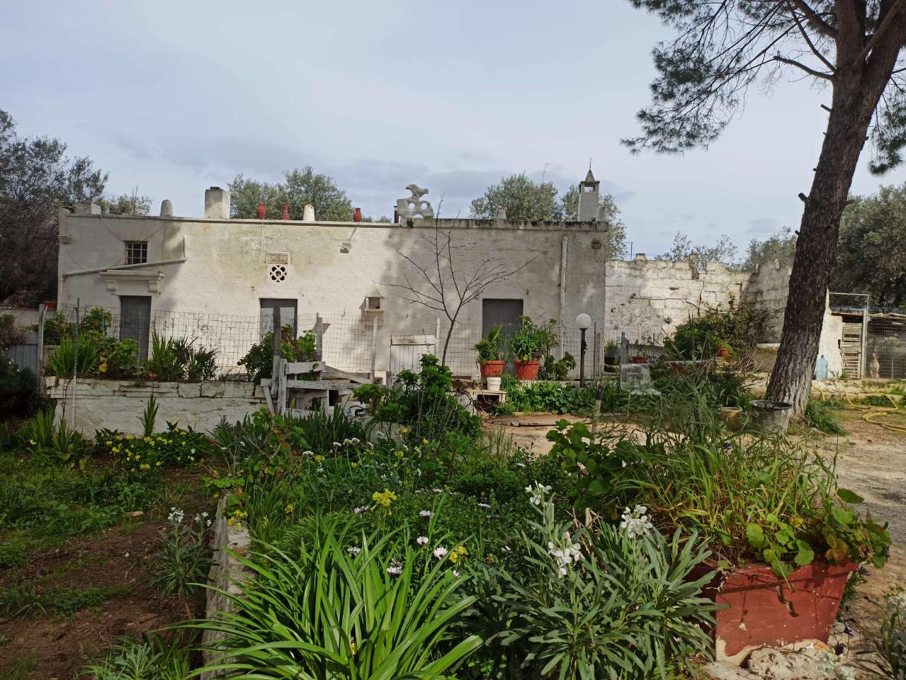 3-Zimmer Wohnung in Carovigno, Italy, Nr. 113843