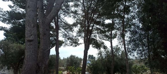 3-Zimmer Wohnung in Carovigno, Italy, Nr. 113843 16