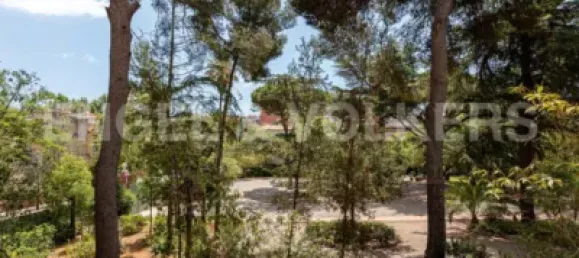 6 Schlafzimmer Wohnung in Barcelona, Spain, Nr. 179145 8