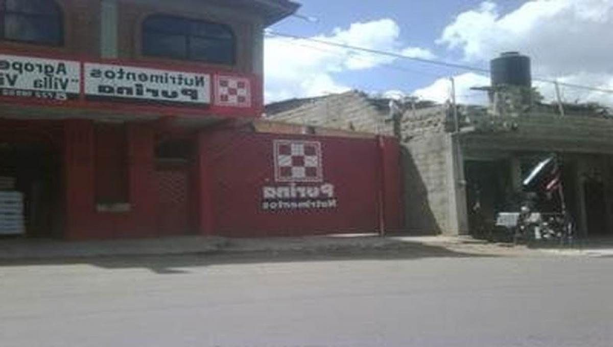 Propriété commerciale à Mexico 480m² No. 202084