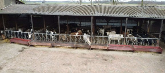 Casa T6 em Diepholz, Germany N.º 135799 21