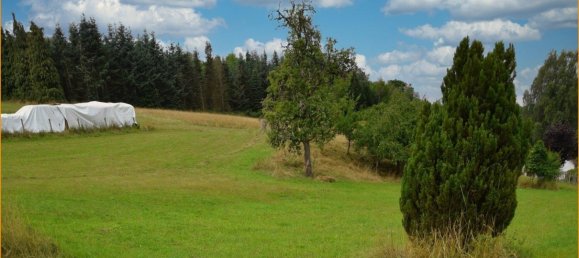 4 bedrooms Farm in Vulkaneifel, Germany No. 206471 4